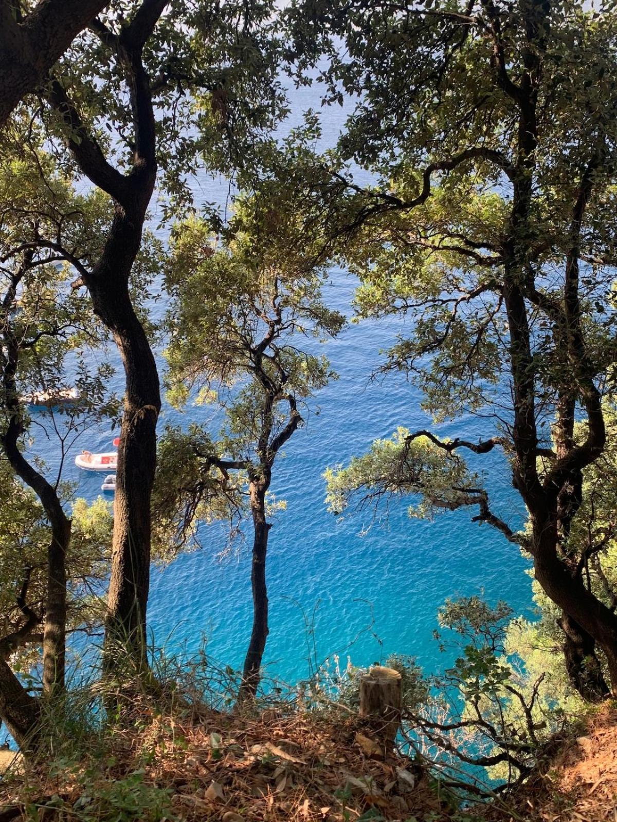 Apartment Sea View With Private Garden Camogli